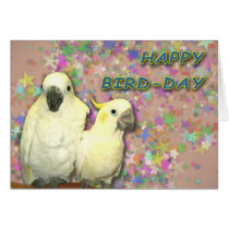Bird Day cards
