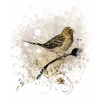 Bird Design
