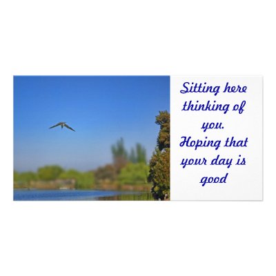 bird diving into the lake custom photo card by design_girl