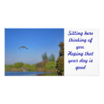 bird diving into the lake custom photo card