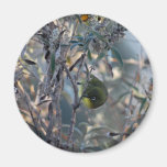 Bird Eating The Sweet Nectar Of Life Refrigerator Magnets