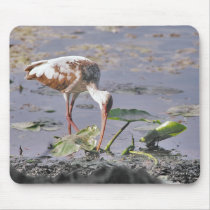 Bird eats at riverside mousepads by cherylarogers Bird eats at riverside mousepads