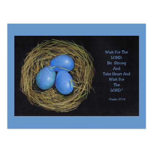 Bird Eggs in Nest Bible Verse from Psalms Postcard Zazzle