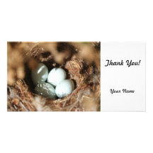 Bird Eggs Nest Personalized Photo Card