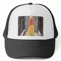 Bird feeder mesh hats