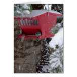 Bird Feeder in Winter blank note card cards