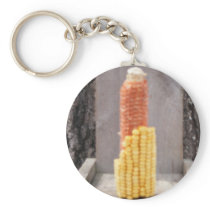 Bird feeder key chains