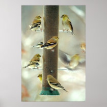 Bird feeder print