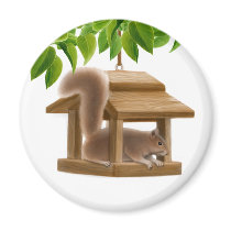 Bird Feeder Squirrel Magnet