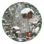 bird, feeder, bird, feeder, snow, trees, boughs,