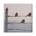 Bird Fence Magnet magnet