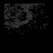 Bird Flock Tee