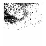 Bird Flock Tee