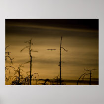 Bird Flying at Sunrise Print
