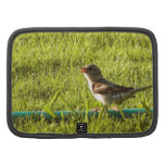 Bird Folio Planners
