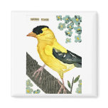 Bird: Goldfinch Fridge Magnets