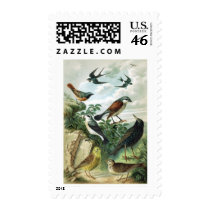Bird group 1 postage by jarthurdavis Bird group 1 postage