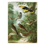 Bird group 2 card