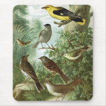 Bird group 2 mousepads