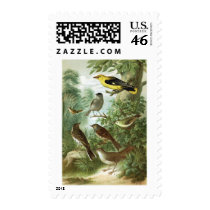 Bird group 2 postage by jarthurdavis Bird group 2 postage