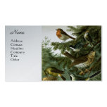 Bird Group 3 Business Card Template