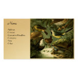 Bird Group 3 Business Card Templates