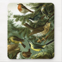 Bird group 3 mousepads