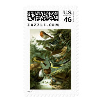 Bird group 3 postage by jarthurdavis Bird group 3 postage