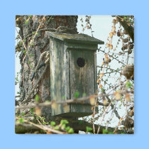 Bird House Magnet by deesbasenjis Bird House Magnet