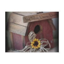 Bird House postcards