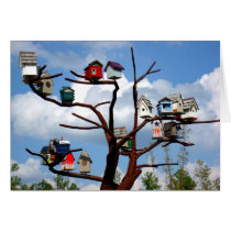 Bird Houses cards