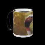 Bird Image Mug mugs