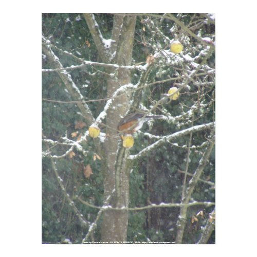 Bird in a winter tree #2 print