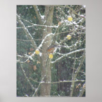 Bird in a winter tree #2 posters