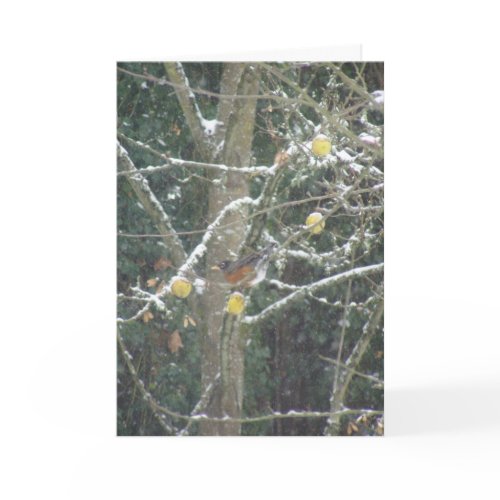 bird in a winter tree card