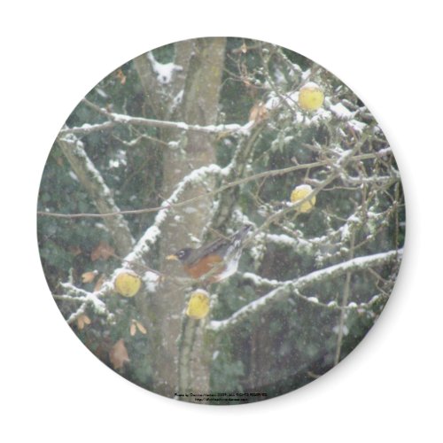 bird in a winter tree magnet