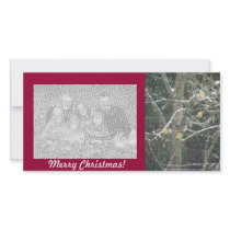 bird in a winter tree photo cards by dlmtleArt bird in a winter tree photo cards