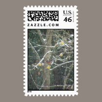 bird in a winter tree postage