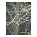 bird in a winter tree print