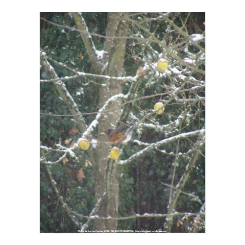 bird in a winter tree print