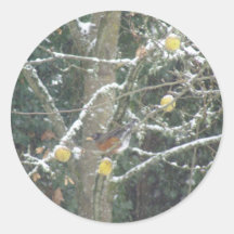 bird in a winter tree round stickers