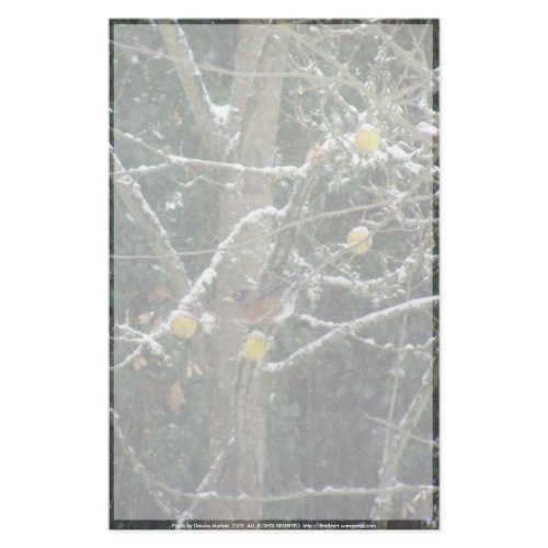 bird in a winter tree stationery