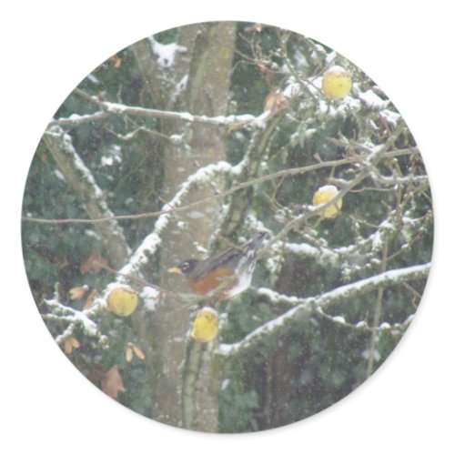 bird in a winter tree sticker