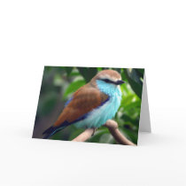 Bird In Blue cards by chysshirts Bird In Blue cards