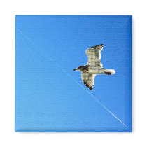 Bird in Flight 6 magnets