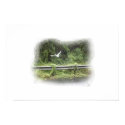 bird in flight posters by dunndebbiedo bird in flight posters