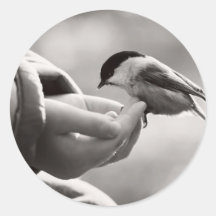 Bird in head stickers