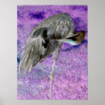 Bird in motion poster