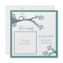 Bird in Tree Baby Announcement