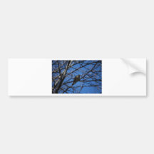 Bird in Tree Bumper Stickers